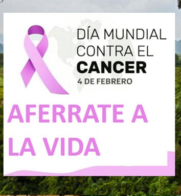 ESSEEDS - dia internacional contra el cancer - DIA INTERNACIONAL CONTRA EL CANCER 1