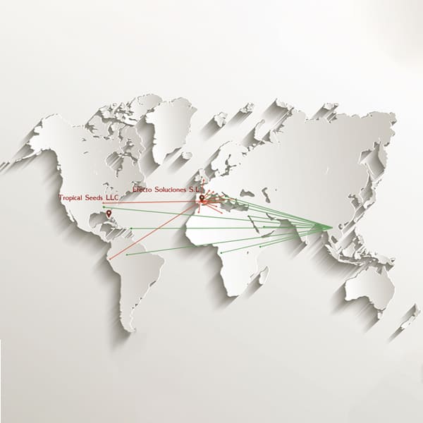 ESSEEDS - Mapa esseeds - Hazte distribuidor 1