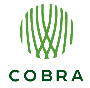 ESSEEDS - logo cobra 01 - كوبرا 1