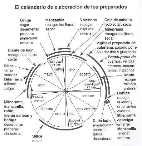 ESSEEDS - CalendElaboraPreparado - Biodynamic Agriculture: An agriculture unknown to some and a way of life for others. 3